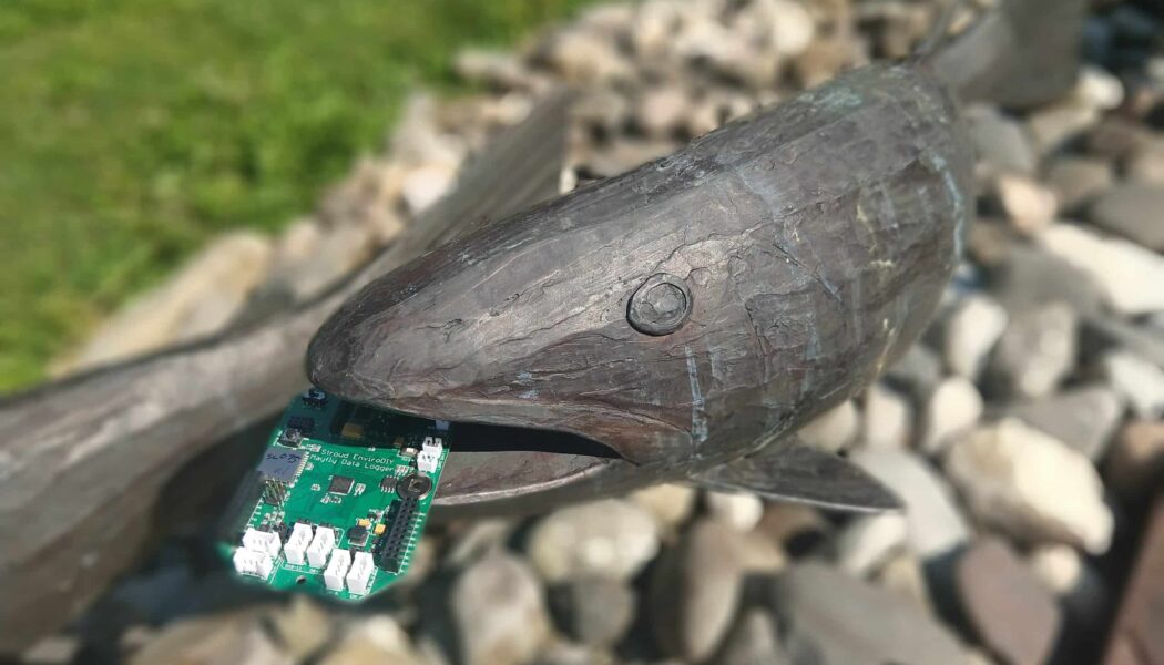 A bronze sculpture of a fish holding a Mayfly Data Logger in its mouth.